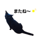 黒猫のクロ【CAT】❤️（個別スタンプ：5）