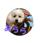 ひなたちゃんスタンプ第5弾（個別スタンプ：4）