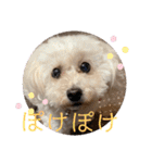 ひなたちゃんスタンプ第5弾（個別スタンプ：7）