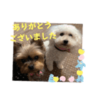 ひなたちゃんスタンプ第5弾（個別スタンプ：21）