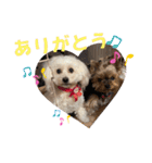 ひなたちゃんスタンプ第5弾（個別スタンプ：27）