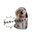 ひなたちゃんスタンプ第5弾（個別スタンプ：31）