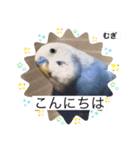 わたしむぎちゃん2（個別スタンプ：3）