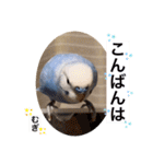 わたしむぎちゃん2（個別スタンプ：4）