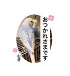 わたしむぎちゃん2（個別スタンプ：5）