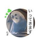 わたしむぎちゃん2（個別スタンプ：7）