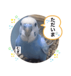 わたしむぎちゃん2（個別スタンプ：8）