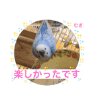 わたしむぎちゃん2（個別スタンプ：10）