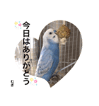 わたしむぎちゃん2（個別スタンプ：13）