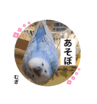 わたしむぎちゃん2（個別スタンプ：14）