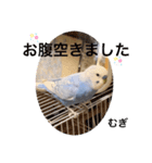 わたしむぎちゃん2（個別スタンプ：15）