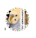 わたしむぎちゃん2（個別スタンプ：16）