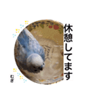 わたしむぎちゃん2（個別スタンプ：20）