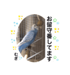わたしむぎちゃん2（個別スタンプ：23）