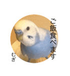 わたしむぎちゃん2（個別スタンプ：24）