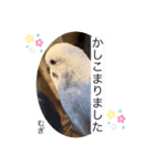 わたしむぎちゃん2（個別スタンプ：27）