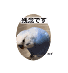 わたしむぎちゃん2（個別スタンプ：28）