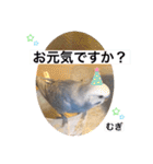 わたしむぎちゃん2（個別スタンプ：29）