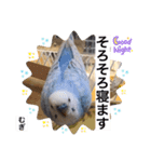 わたしむぎちゃん2（個別スタンプ：32）