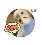 わたしむぎちゃん2（個別スタンプ：36）