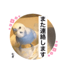 わたしむぎちゃん2（個別スタンプ：39）