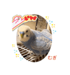わたしむぎちゃん2（個別スタンプ：40）