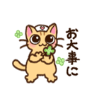 茶トラねこの敬語あいさつ（個別スタンプ：20）