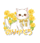 春のお花とねこスタンプ（個別スタンプ：7）