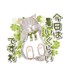 春のお花とねこスタンプ（個別スタンプ：22）