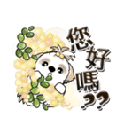 シーズー犬 『台湾の言葉』（個別スタンプ：2）