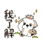 シーズー犬 『台湾の言葉』（個別スタンプ：4）