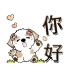 シーズー犬 『台湾の言葉』（個別スタンプ：6）