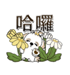 シーズー犬 『台湾の言葉』（個別スタンプ：9）