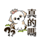 シーズー犬 『台湾の言葉』（個別スタンプ：23）