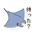 海の生き物ダジャレスタンプ（個別スタンプ：22）