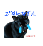 我が家黒猫じじちゃん（個別スタンプ：4）