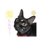 我が家黒猫じじちゃん（個別スタンプ：7）