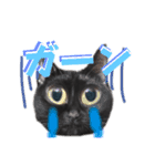 我が家黒猫じじちゃん（個別スタンプ：9）