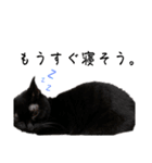 我が家黒猫じじちゃん（個別スタンプ：11）