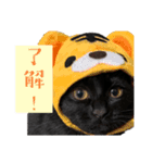我が家黒猫じじちゃん（個別スタンプ：13）
