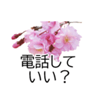 *花*桜（個別スタンプ：8）