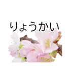 *花*桜（個別スタンプ：13）