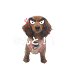 ミニチュアダックスNoaちゃんすたんぷ（個別スタンプ：13）