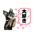 ピノパルスタンプ②（個別スタンプ：1）