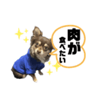 ピノパルスタンプ②（個別スタンプ：5）