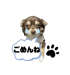 ピノパルスタンプ②（個別スタンプ：7）