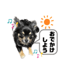 ピノパルスタンプ②（個別スタンプ：12）