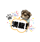 ピノパルスタンプ②（個別スタンプ：15）