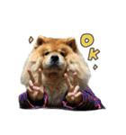 もっちゃんともふもふの日々3（個別スタンプ：4）