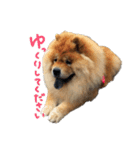 もっちゃんともふもふの日々3（個別スタンプ：9）